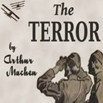 Terror: A Mystery