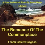 Romance Of The Commonplace