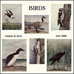 Birds, Vol. III, No 6, June 1898