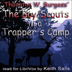 Boy Scouts in a Trapper's Camp