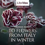 To Flowers From Italy In Winter