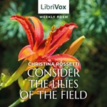 Consider the Lilies of the Field