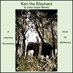 Kari the Elephant (Version 2)