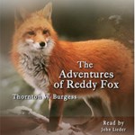 Adventures of Reddy Fox, The