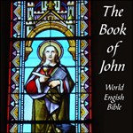 Bible (WEB) NT 04: John