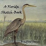 Florida Sketch-Book, A