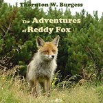 Adventures of Reddy Fox (version 2)