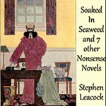 Soaked In Seaweed and 7 other nonsense novels