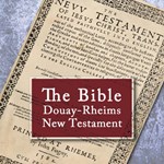 Bible (DRV) New Testament