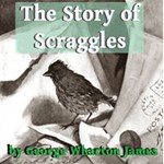 Story of Scraggles