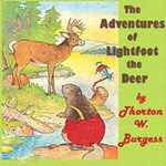 Adventures of Lightfoot the Deer
