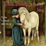White Dandy: A Horse's Story