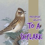 To A Skylark