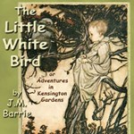 Little White Bird