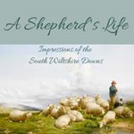 Shepherd's Life; Impressions Of The South Wiltshire Downs